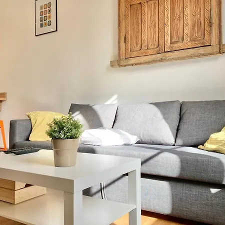 Flat Completely Renovated In The Centre #bl * غرونوبل